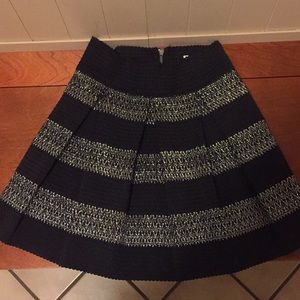 Black and Silver Skirt